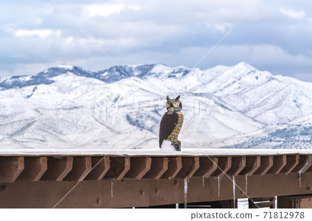 Roof of a building coated with snow with an owl sculpture viewed in winter 71812978