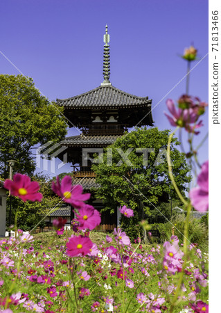 Hokiji Temple Mie Pagoda, Ikaruga Town, Ikoma District, Nara Prefecture Hokiji Temple Mie Pagoda, Ikaruga Town, Ikoma District, Nara Prefecture 71813466