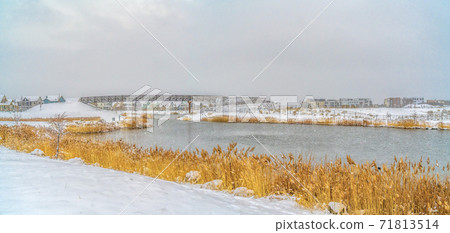 A gleaming lake with grasses lining the shore in Daybreak Utah in winter A gleaming lake with grasses lining the shore in Daybreak Utah in winter 71813514