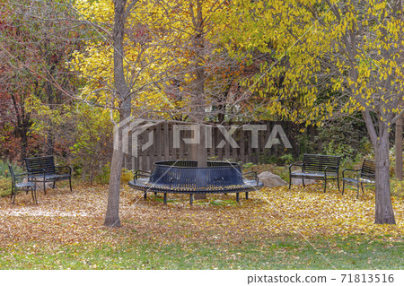Empty benches at a park under lush trees with bright foliage in autumn Empty benches at a park under lush trees with bright foliage in autumn 71813516