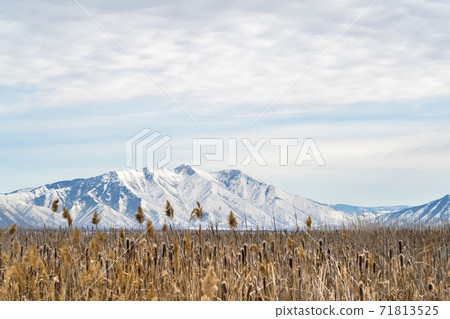 Vast grassy terrain against a rugged mountain covered with snow in winter Vast grassy terrain against a rugged mountain covered with snow in winter 71813525