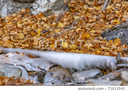 Close up of a stream with jagged rocks and translucent frozen water in winter Close up of a stream with jagged rocks and translucent frozen water in winter 71813541