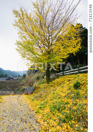 秋山的風景 秋山的風景 71813546