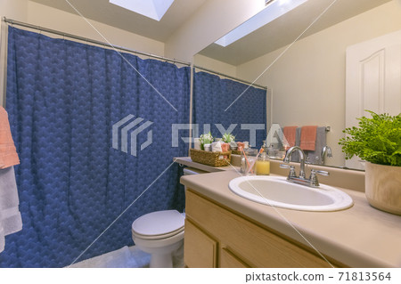 Interior of a small and cozy bathroom with a single vanity unit and toilet 71813564