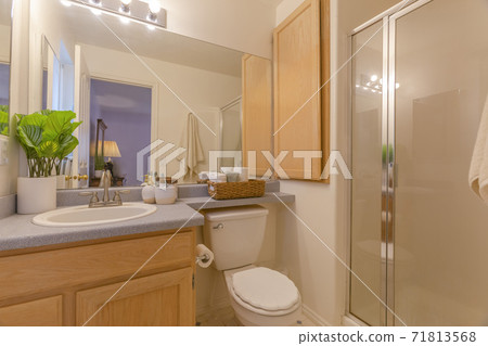 Interior of a cozy and well lighted bathroom with vanity area and toilet 71813568