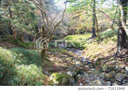 谷川的抱怨 71813940