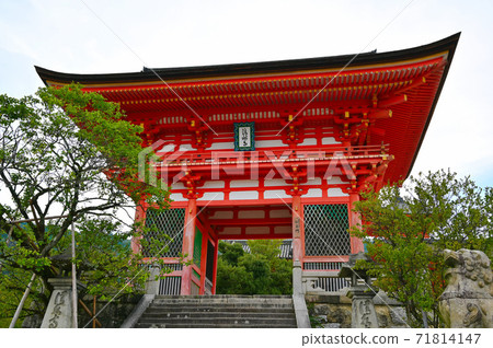 Kiyomizu-dera Temple Niomon Gate 71814147