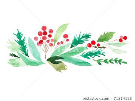 聖誕水彩植物 71814158