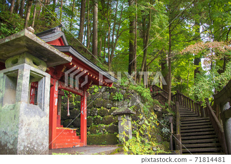 深草道上橋附近的散步道，漫步秋景，秋景 71814481