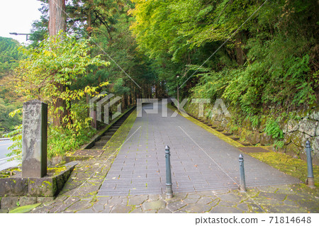 表參道日光秋天的風景步行秋天的風景 71814648