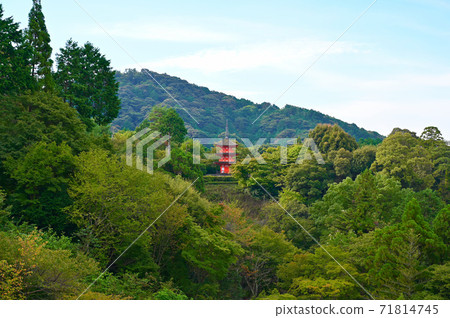 清水寺康洲塔的景色 清水寺康洲塔的景色 71814745