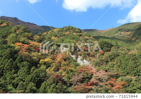 Beshiko線的秋葉 Beshiko線的秋葉 71815944