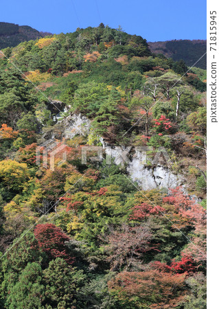 Beshiko線的秋葉 71815945