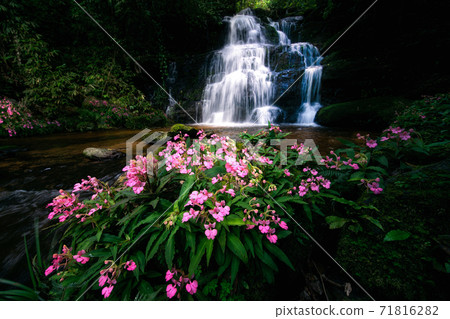 Unseen Man daeng water fall in phuhinrongkla park near Phu thapboek mountain 71816282