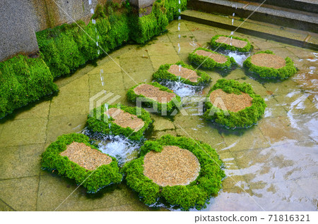 清水寺音羽瀑布飛濺 清水寺音羽瀑布飛濺 71816321