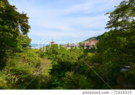 京都東山清水寺 京都東山清水寺 71816325