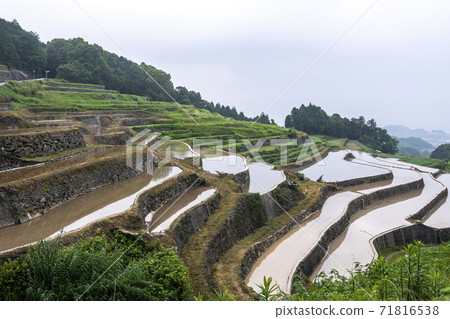 Tanimizu Rice Terrace in the early morning in Minamishimabara City, Nagasaki Prefecture Tanimizu Rice Terrace in the early morning in Minamishimabara City, Nagasaki Prefecture 71816538