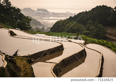 Tanimizu Rice Terrace in the early morning in Minamishimabara City, Nagasaki Prefecture Tanimizu Rice Terrace in the early morning in Minamishimabara City, Nagasaki Prefecture 71816625