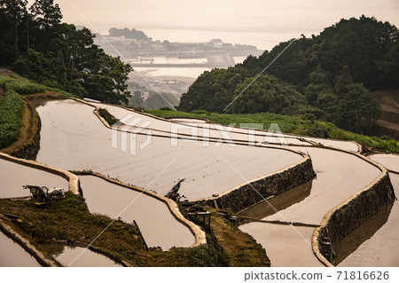 長崎縣南島原市清晨山谷水梯田 長崎縣南島原市清晨山谷水梯田 71816626