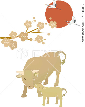 Golden cow and sunrise 71816812
