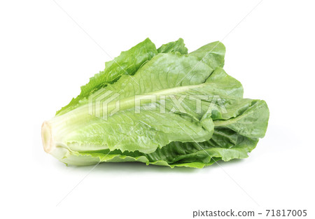Fresh green Lettuce leaves isolated on white background. 71817005