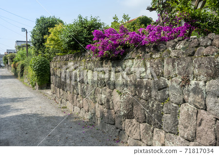 長崎縣島原市一個武士住宅的風景 長崎縣島原市一個武士住宅的風景 71817034