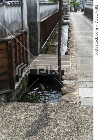 長崎縣島原市鯉魚游泳的小鎮 長崎縣島原市鯉魚游泳的小鎮 71817092