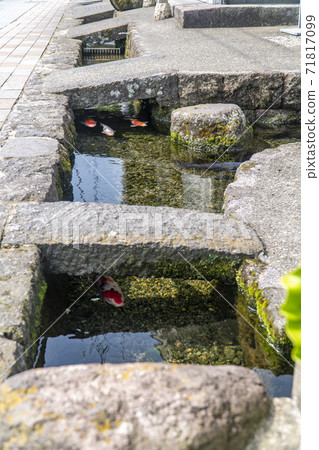 長崎縣島原市鯉魚游泳的小鎮 長崎縣島原市鯉魚游泳的小鎮 71817099