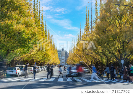 Cityscape Jingu Gaien, a street of golden ginkgo trees, Minato-ku, Tokyo 71817702