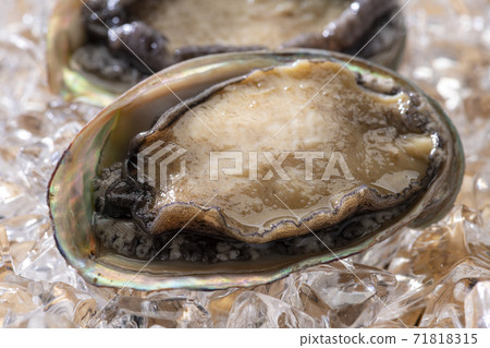 Fresh abalone Fresh abalone 71818315