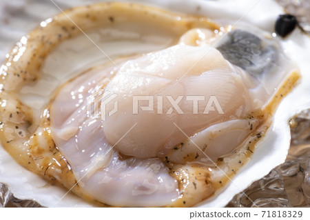 Fresh scallops Fresh scallops 71818329