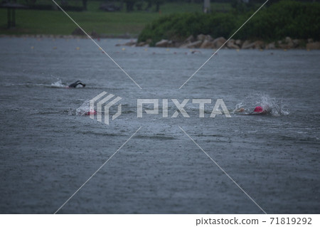 Triathlon competition swim 71819292