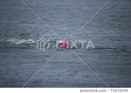 Triathlon tournament swim 71819294