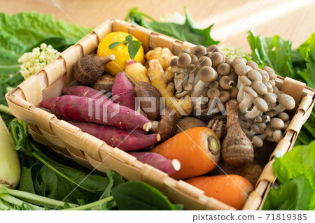 Assorted autumn vegetables 71819385