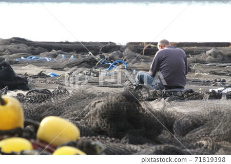 A man who cares for fishing nets spread on the quay 71819398