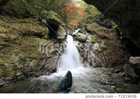 國立河源頭的“西住鈴谷川”的秋天，又回到了shi子線 71819436