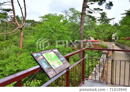 Early summer scenery of Kobe Foreigners Cemetery 71819940