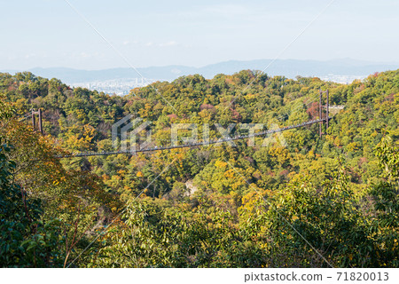 Hoshida Garden in Autumn 71820013