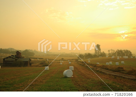 牧場，安城牧場的晨曦 71820166