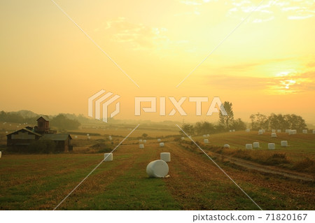 牧場，安城牧場的晨曦 71820167