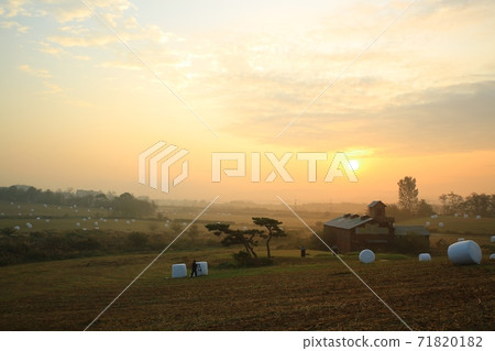 Morning light at the ranch, Anseong Ranch Morning light at the ranch, Anseong Ranch 71820182