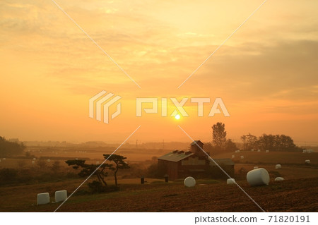 Morning light at the ranch, Anseong Ranch Morning light at the ranch, Anseong Ranch 71820191