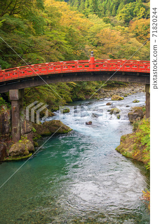 日光神橋小谷川秋天的景色 71820244
