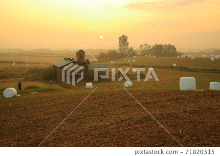 Ranch morning scenery!, Anseong Ranch Ranch morning scenery!, Anseong Ranch 71820315