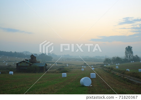 Ranch morning scenery!, Anseong Ranch 71820367