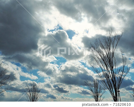 樹木和藍天(多雲的天空) 樹木和藍天(多雲的天空) 71820610