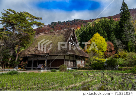 [Autumn leaves Shirakawa-go, the main hall of Myozenji Temple] 71821024