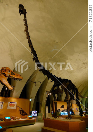 自然歷史博物館的恐龍骨骼標本 71821835