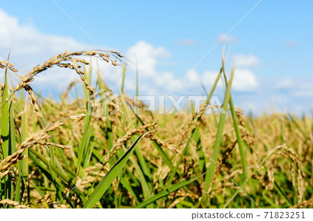 Blue Sky and Rainbow Blue Sky and Rainbow 71823251