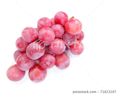 Grape Grape Queen Nina 71823287